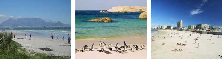 Tourism fast facts
